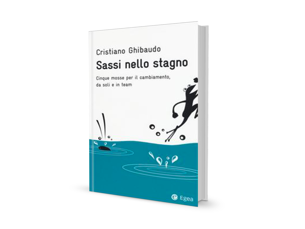 Libro-Sassi-nello-stagno